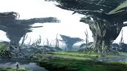 ##IMAGE##