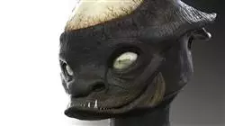 ##IMAGE##