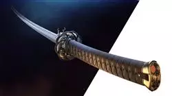 ##IMAGE##