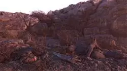 ##IMAGE##