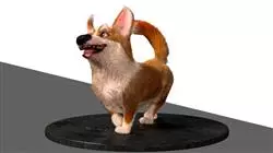 ##IMAGE##