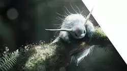 ##IMAGE##
