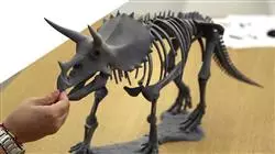 ##IMAGE##