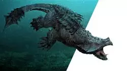 ##IMAGE##