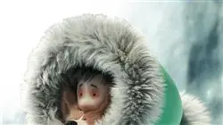 ##IMAGE##