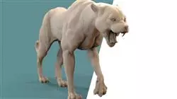 ##IMAGE##