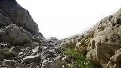 ##IMAGE##