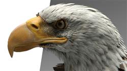 experto modelado 3d criaturas