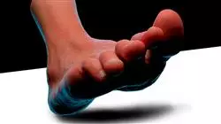 ##IMAGE##