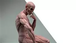 ##IMAGE##