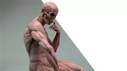 ##IMAGE##