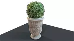 ##IMAGE##