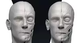 ##IMAGE##