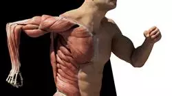 ##IMAGE##