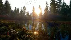 ##IMAGE##
