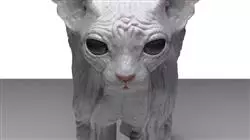 ##IMAGE##