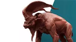 ##IMAGE##