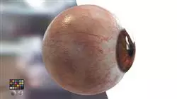 ##IMAGE##