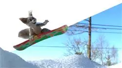 ##IMAGE##