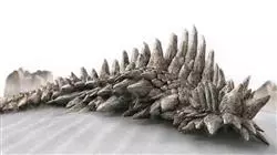 ##IMAGE##