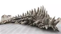 ##IMAGE##