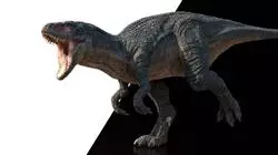 ##IMAGE##