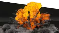 ##IMAGE##