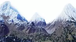##IMAGE##