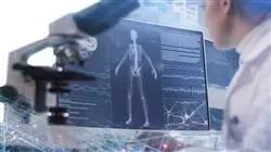 ##IMAGE##