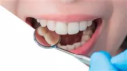 berufliche praktiken adhasive asthetische zahnmedizin Tech Universidad