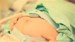 best master obstetrics midwives TECH Global University