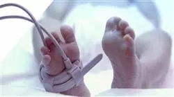 certificat en ligne prise charge neonatale Tech Universidad
