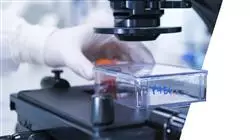 corsi tirocinio tirocinio ricerca medica Tech Universidad