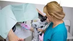 corso stage assistenza ginecologica ostetriche Tech Universidad