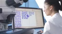 corso stage tirocinio ricerca medica Tech Universidad