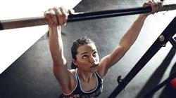 curso practicas entrenamiento fuerza rendimiento deportivo Tech Universidad