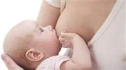 estagio aleitamento materno enfermeiros obstetras Tech Universidad
