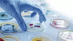 estagio genomica nutricional nutricao precisao Tech Universidad