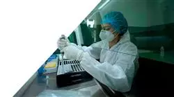 estagio infectologia clinica antibioticoterapia Tech Universidad
