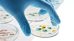 estudiar infectologia clinica terapeutica antibiotica avanzada Tech Universidad