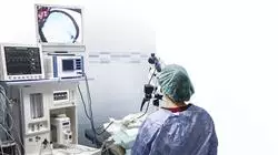 estudiar oftalmologia veterinaria pequenos animales Tech Universidad