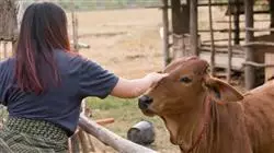 estudiar pericia laboral veterinaria TECH Global University