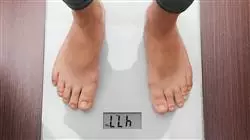 experto nutricion actividad fisica deporte acuatico Tech Universidad