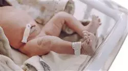 formacao b learning cuidados intensivos neonatais e enfermagem neonatal Tech Universidad