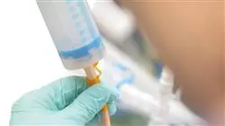 formation postuniversitaire nutrition clinique pediatrie  Tech Universidad