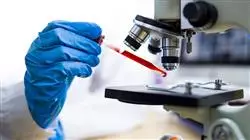 hybrid learning advanced integrative health medicine TECH Global University