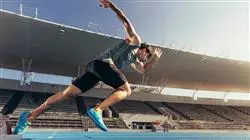 hybrid masterstudiengang sportpsychologie Tech Universidad