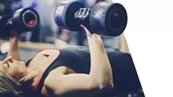 internship course strength training sports performance Tech Universidad
