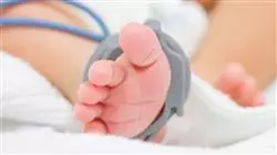 maestria online cuidados intensivos neonatales enfermeria neonatal Tech Universidad