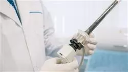 maestria online proctologia Tech Universidad